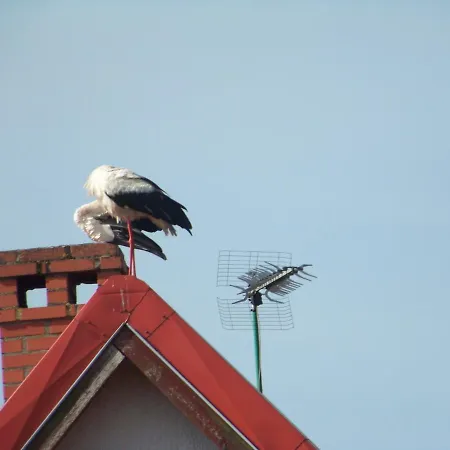 Gospodarstwo agroturystyczne Ranczo Na Mazurach